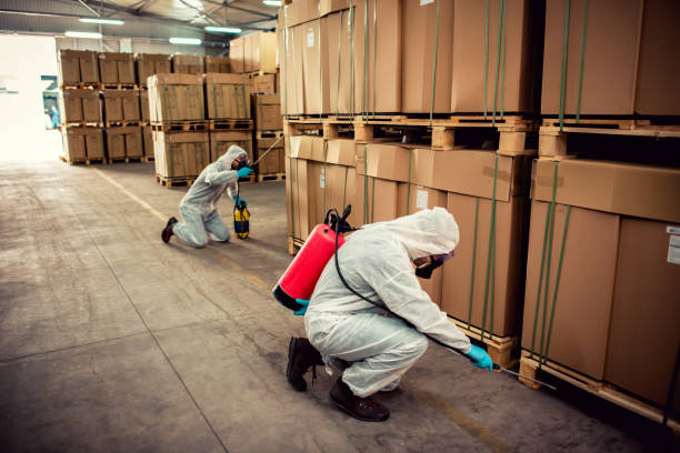 Best Local Pest Control Services  in Ardmore, OK