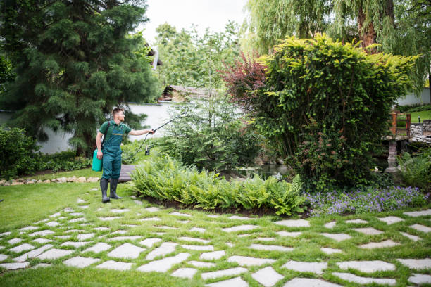 Best Affordable Pest Control Services  in Ardmore, OK