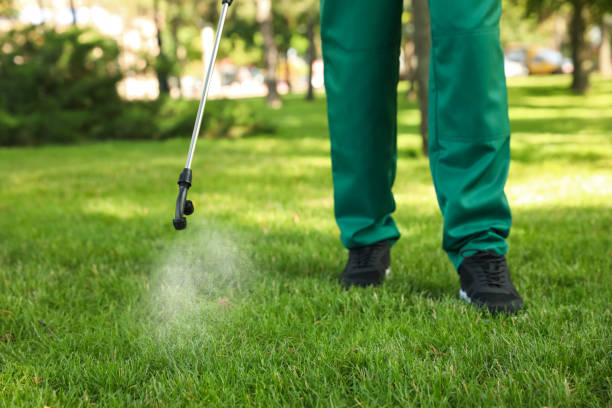 Best Pest Inspection Near Me  in Ardmore, OK