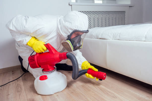 Best Pest Control Treatment  in Ardmore, OK