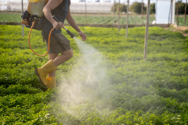 Best Mosquito Control Services  in Ardmore, OK
