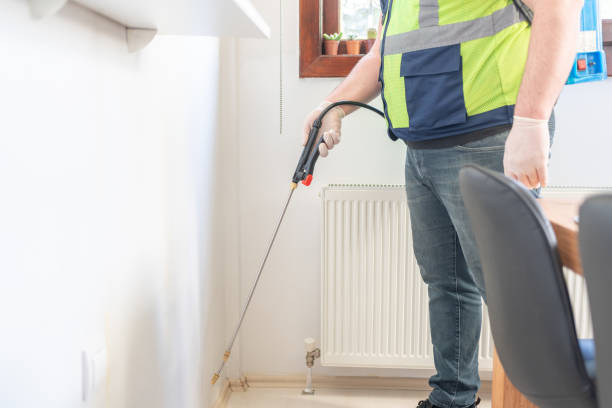 Best Ant Control Services  in Ardmore, OK