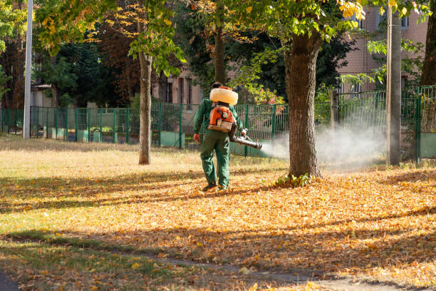Best Pest Control Near Me  in Ardmore, OK