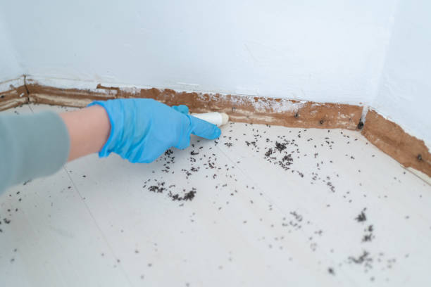 Best Residential Pest Control  in Ardmore, OK