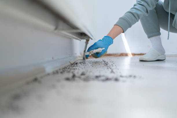 Best Pest Control Near Me in Ardmore, OK