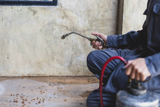Best Affordable Pest Control Services  in Ardmore, OK
